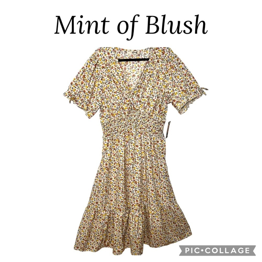 Mint of Blush women floral v neck maxi dress plus size 2X NWT